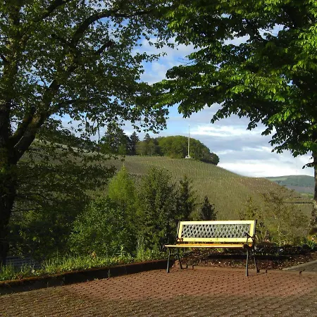 Alter Weinberg