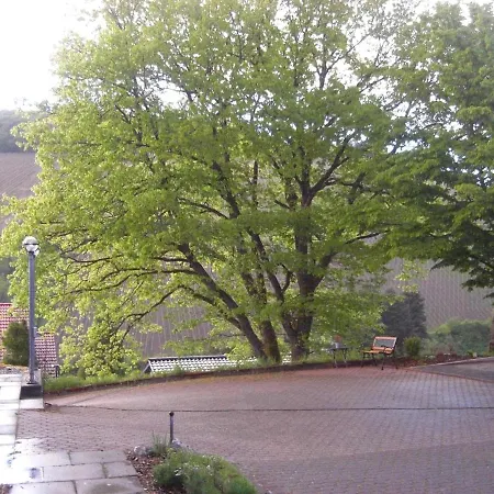 Alter Weinberg דירה זארבורג